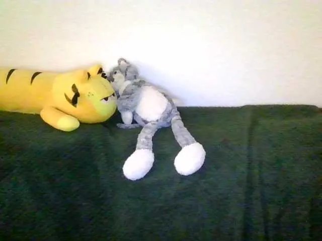 Cantii from BongaCams