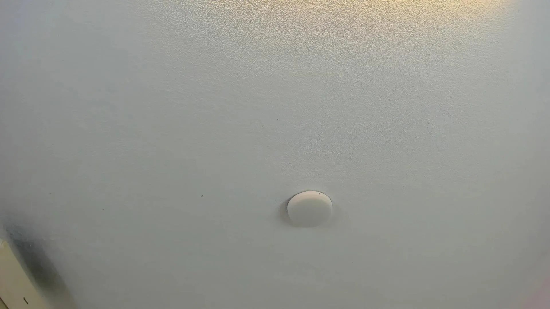 brittany069 from Cam4