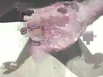 hammerhard1 from Chaturbate