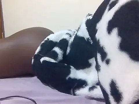 African_ass20 from StripChat