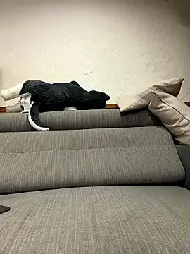 black_xun from StripChat