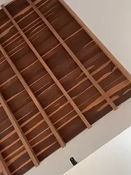 curchez_ from StripChat