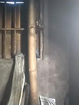 Curry50 from StripChat