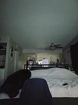 DevilDahm from StripChat