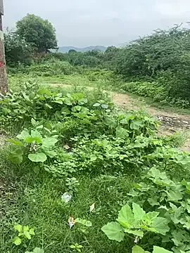 Fredship7890 from StripChat