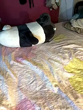 Fresi_blonde from StripChat