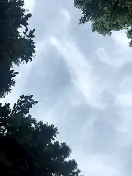 gavi_19cm from StripChat