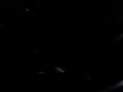 Giga-bite from StripChat