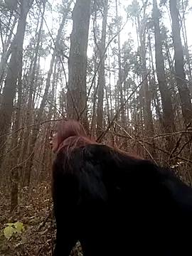 Lleisa from StripChat