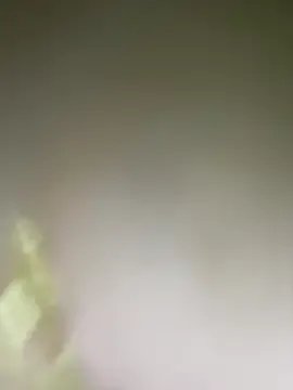 love-xx from StripChat