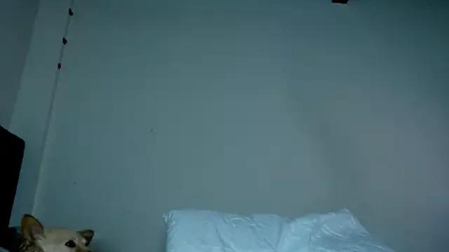 Naked Room Meghan320 