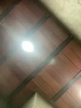 MollySanders___ from StripChat