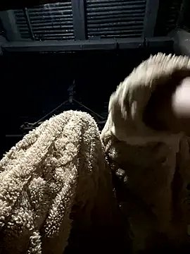 Nika--Nika from StripChat