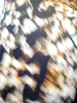 Naked Room Notila-68 