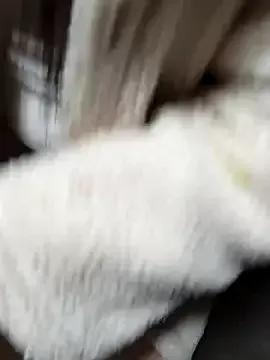 Siusiu-00 from StripChat