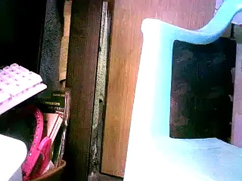 sofiaASS69 from StripChat