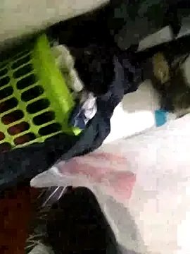 Super-star254 from StripChat