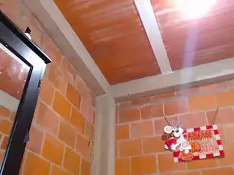 vergon3624 from StripChat